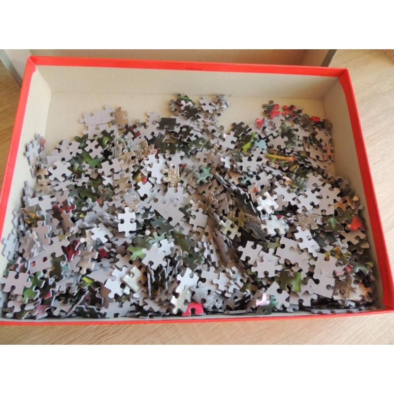 Puzzle 1000 pièces - Chatons parmi les roses